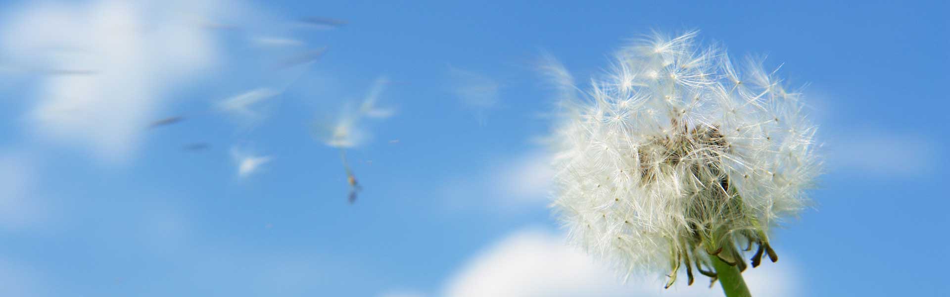 contact-header-mobile